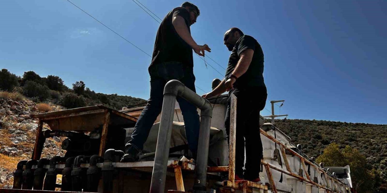 Didim’den Tunus’a 1 milyon çipura yavrusu