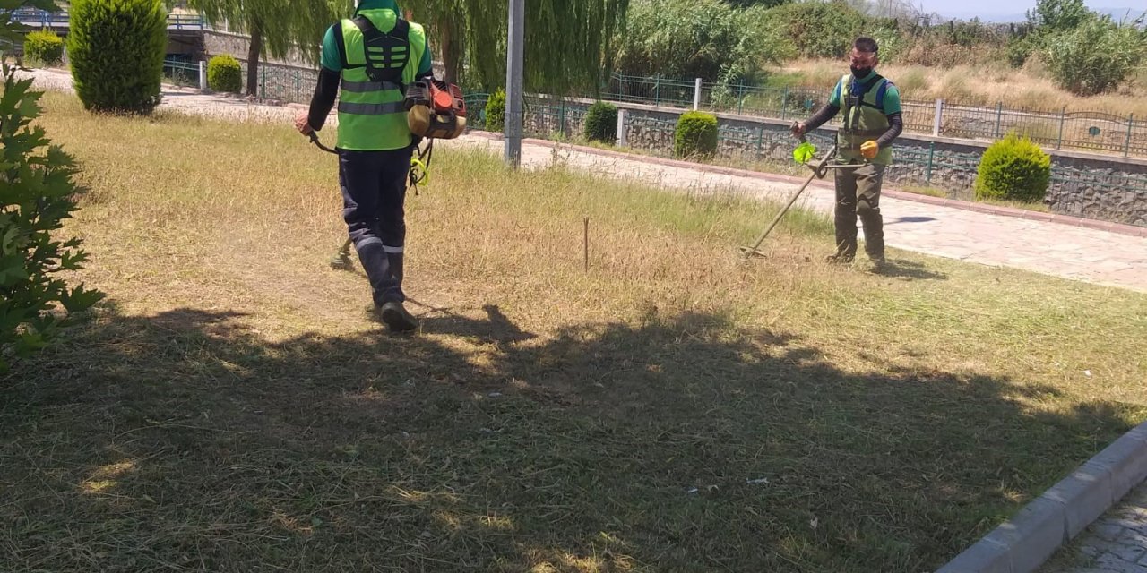 Nazilli Belediyesi, yeşil alanları bakıma aldı