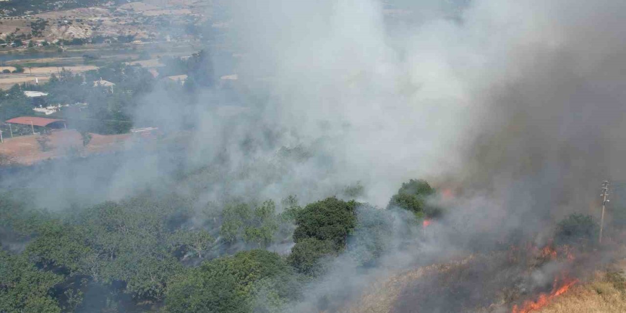Örtü yangını ormana sıçramadan söndürüldü