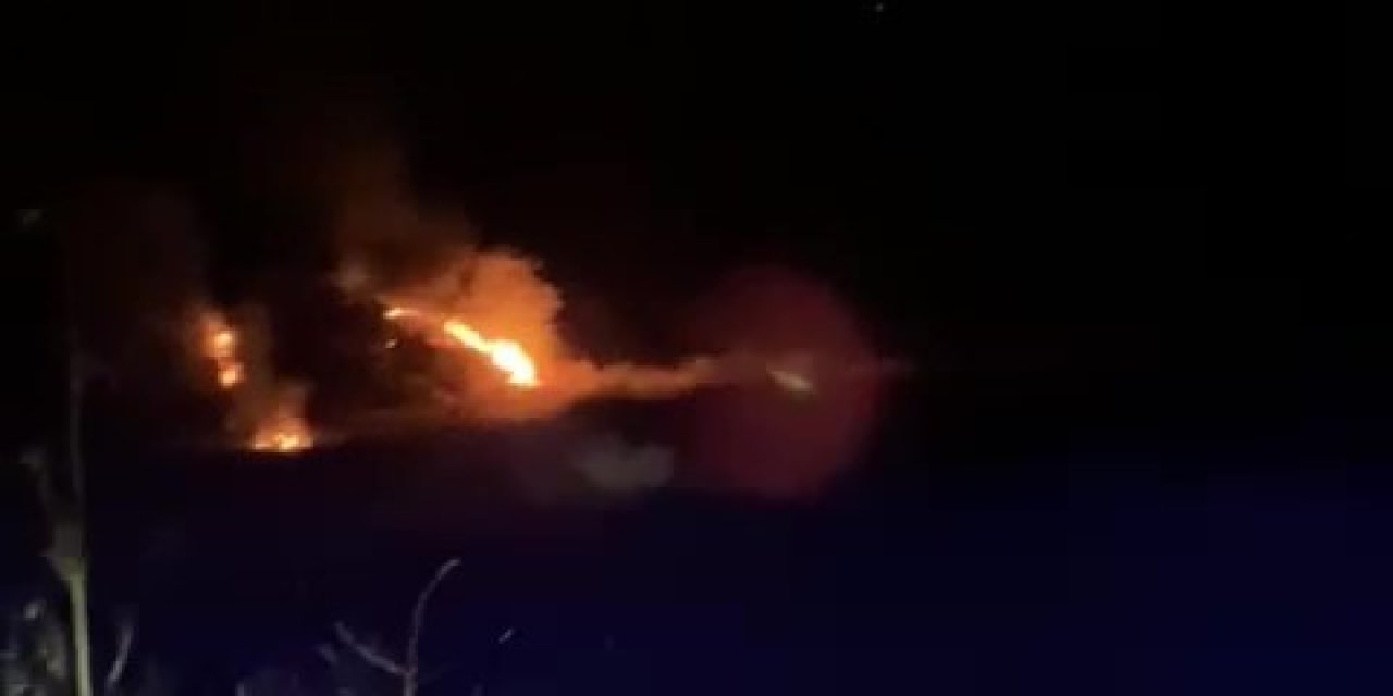 Denizli’de orman yangını kısa sürede söndürüldü