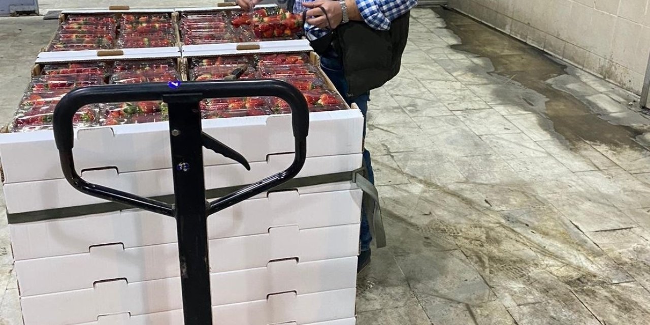 Söke’de 1 ayda bin 256 ton tarımsal ürün ihraç edildi