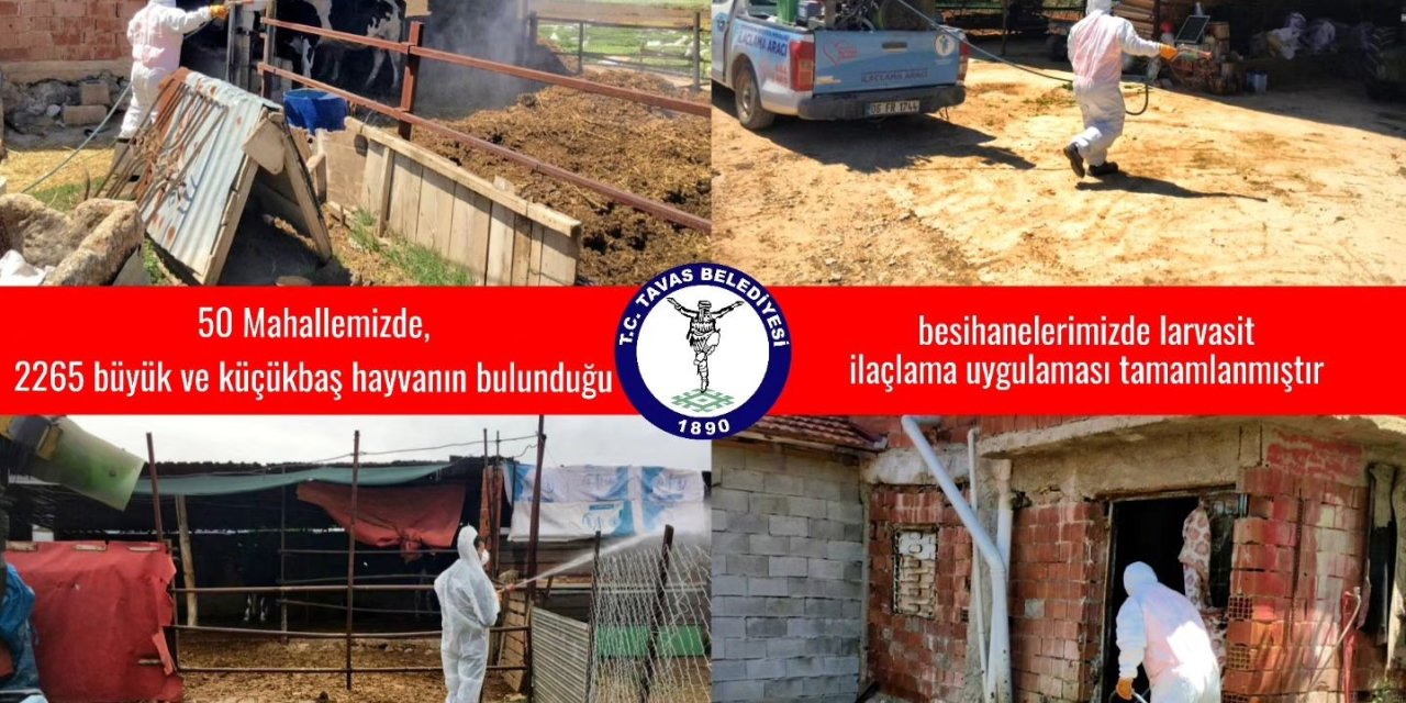 Tavas Belediyesi 50 mahallede 2. tur ilaçlamalarına başladı