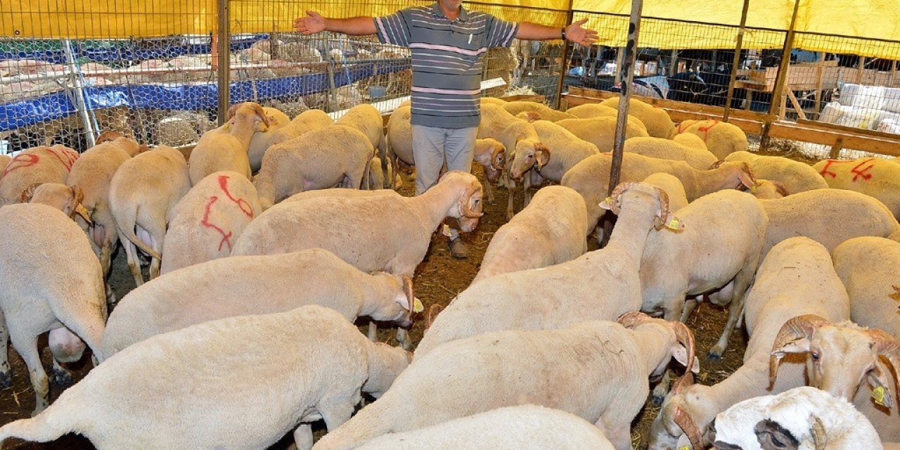 İzmir’de Kurban Bayramı için bağış kampanyası başladı