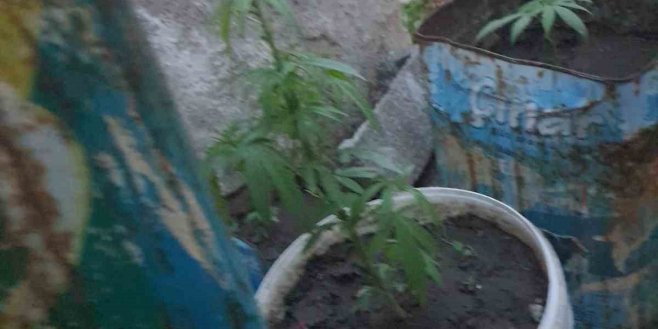 Koçarlı’da uyuşturucuya geçit yok