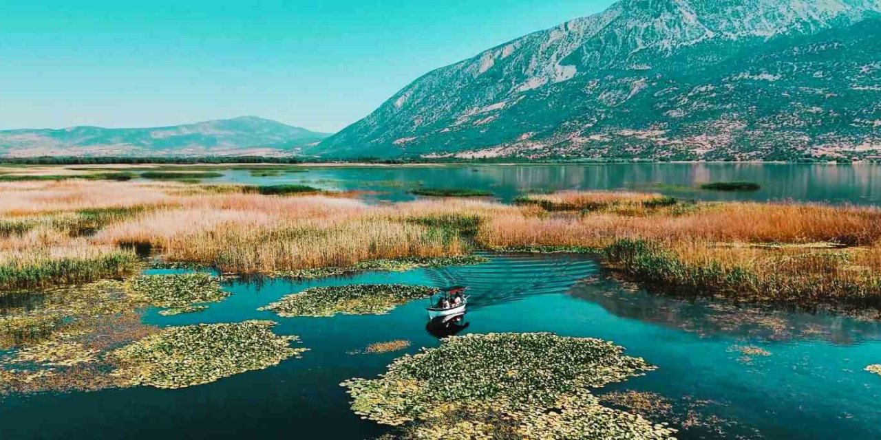 Türkiye’nin en büyük nilüfer tarlasında renklerin buluşması mest etti