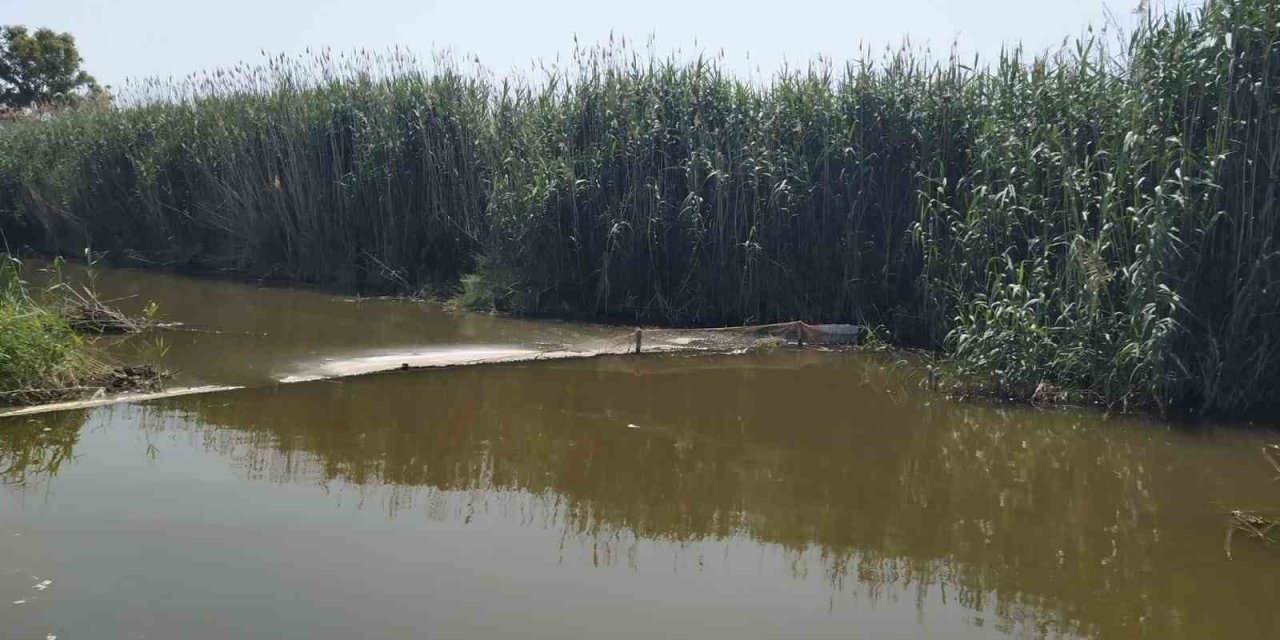 Didim’de hayalet ağ operasyonu: "Sahipsiz gergi ağları imha edildi"