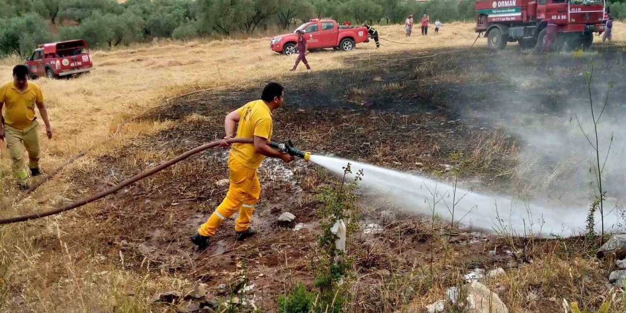 Menteşe’de tarlada çıkan ot yangın korkuttu