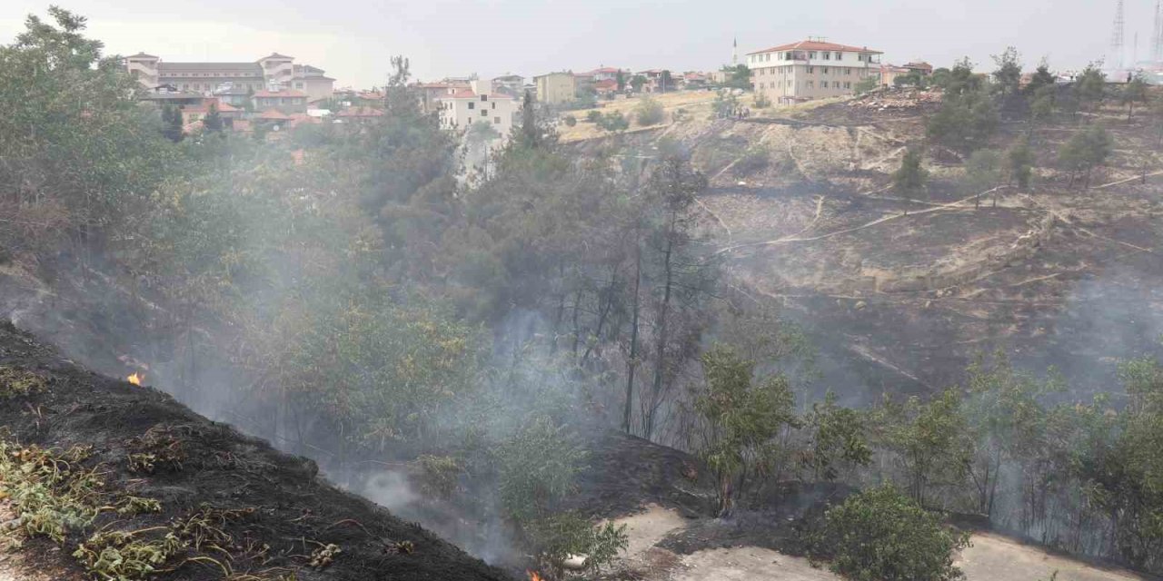 Denizli’deki orman yangınına  havadan ve karadan müdahale ediliyor