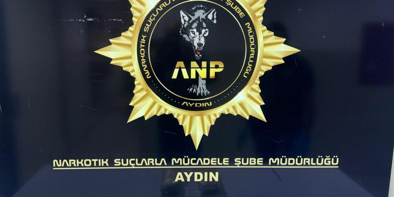 Aydın’a uyuşturucu taşıyan şüpheli tutuklandı