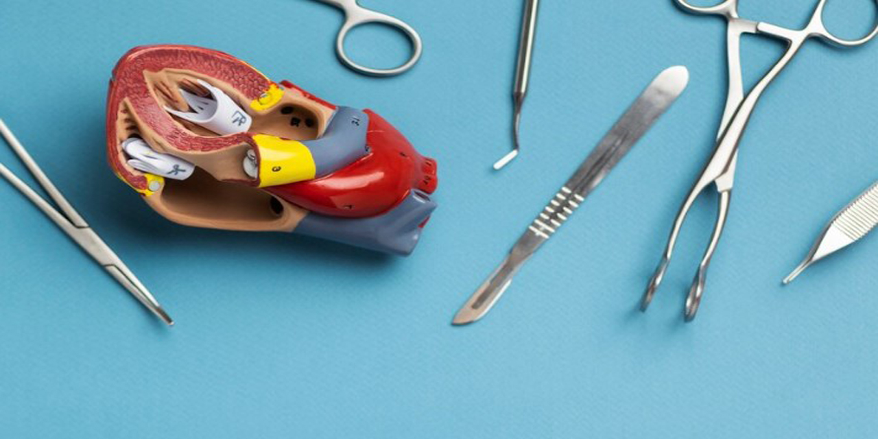 Diş hekimliği öğrencilerinin ihtiyacı olan bilgiler