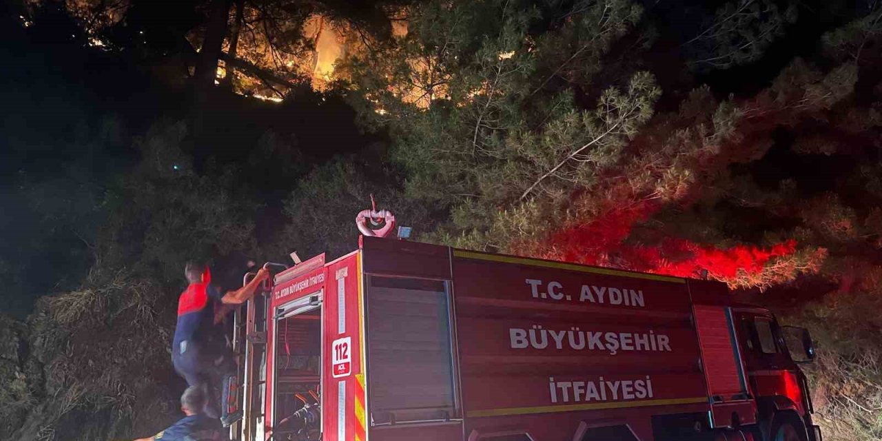Kuyucak’ta zirai alan yangını