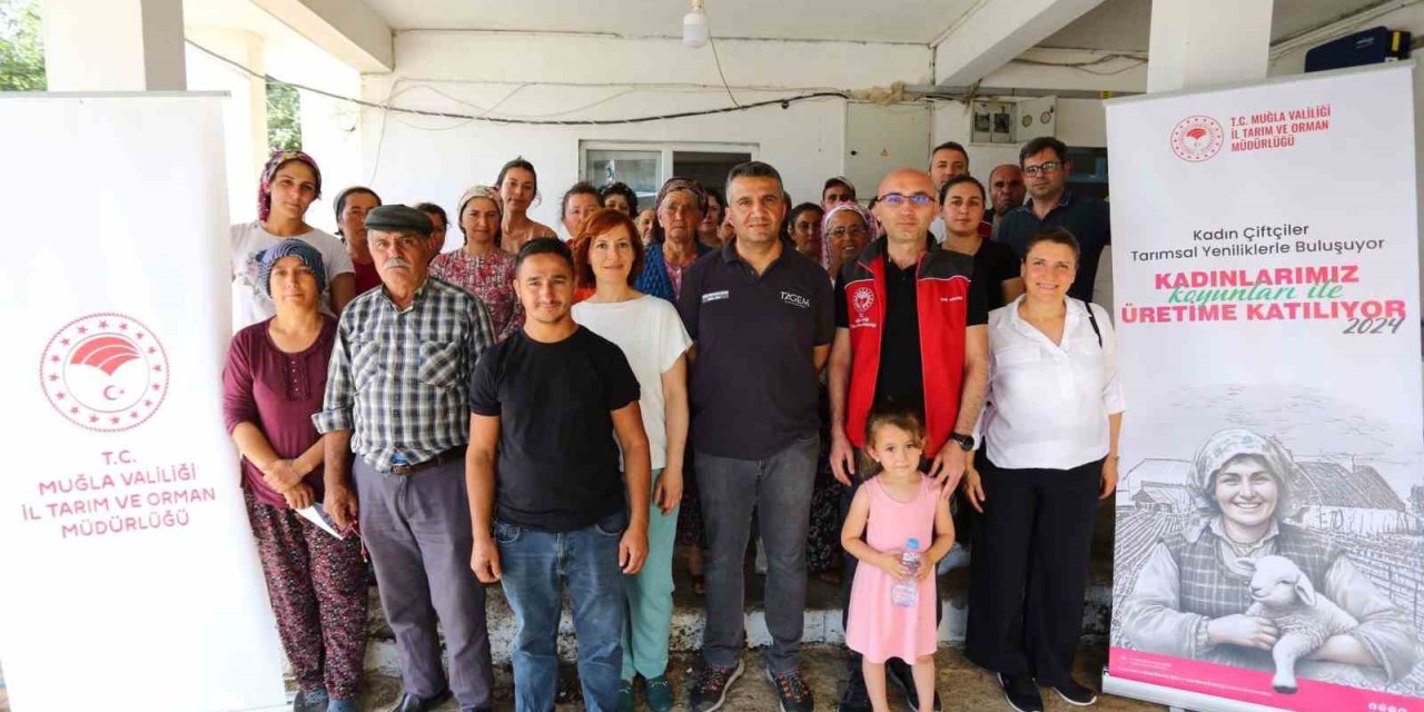 Muğlalı kadınlar koyunları ile üretime katılıyor