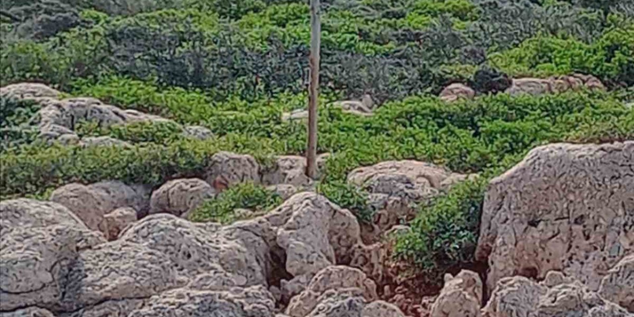 Vatandaşların ‘Mavi Yolculuğun’ kalbindeki adada bulunan ‘Bayrak’ hassasiyeti