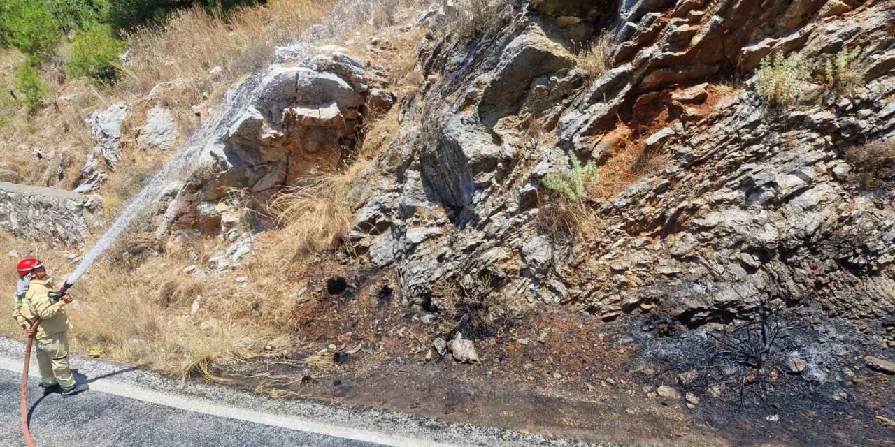 Yol kenarındaki yangın ormana sıçramadan söndürüldü