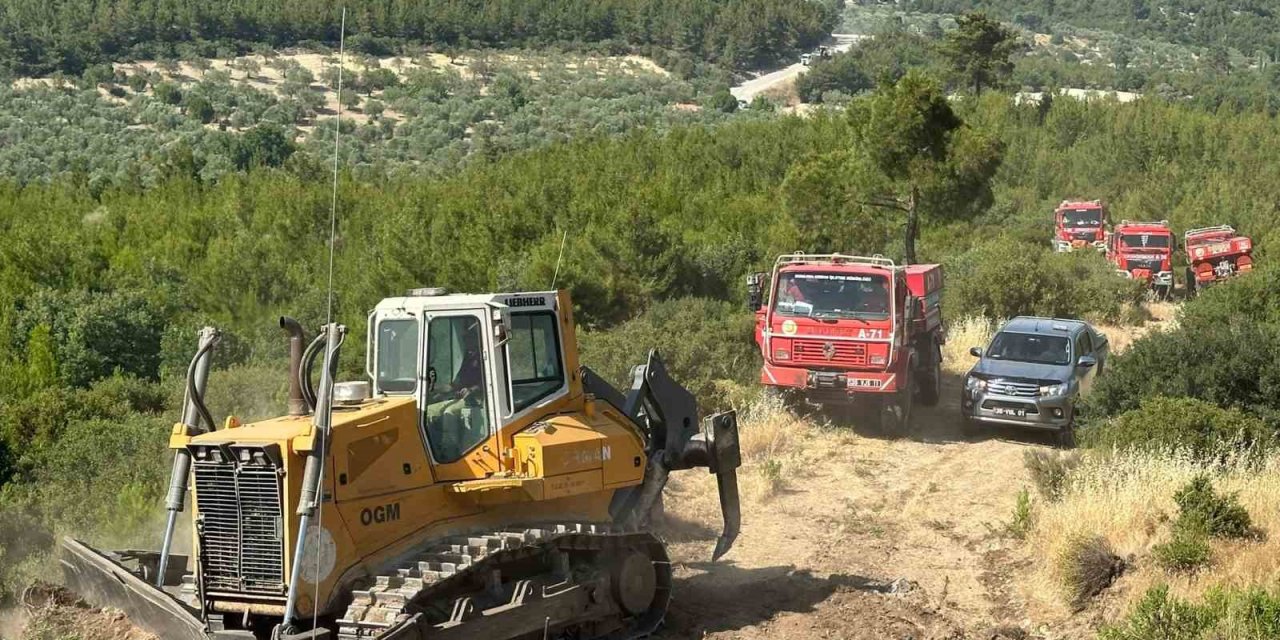Bergama’daki orman yangını kontrol altına alındı