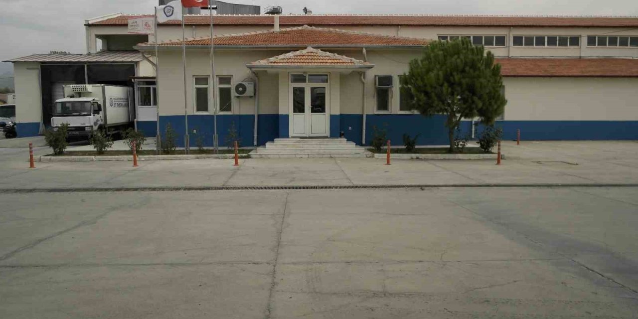 Büyükşehir Mezbahaları Kurban Bayramı’na hazır