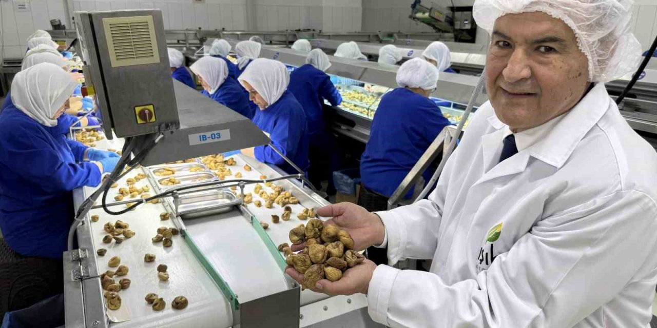 Kuru meyve sektöründe ihracat şampiyonlarının ilk 11’inin 10’u Egeli