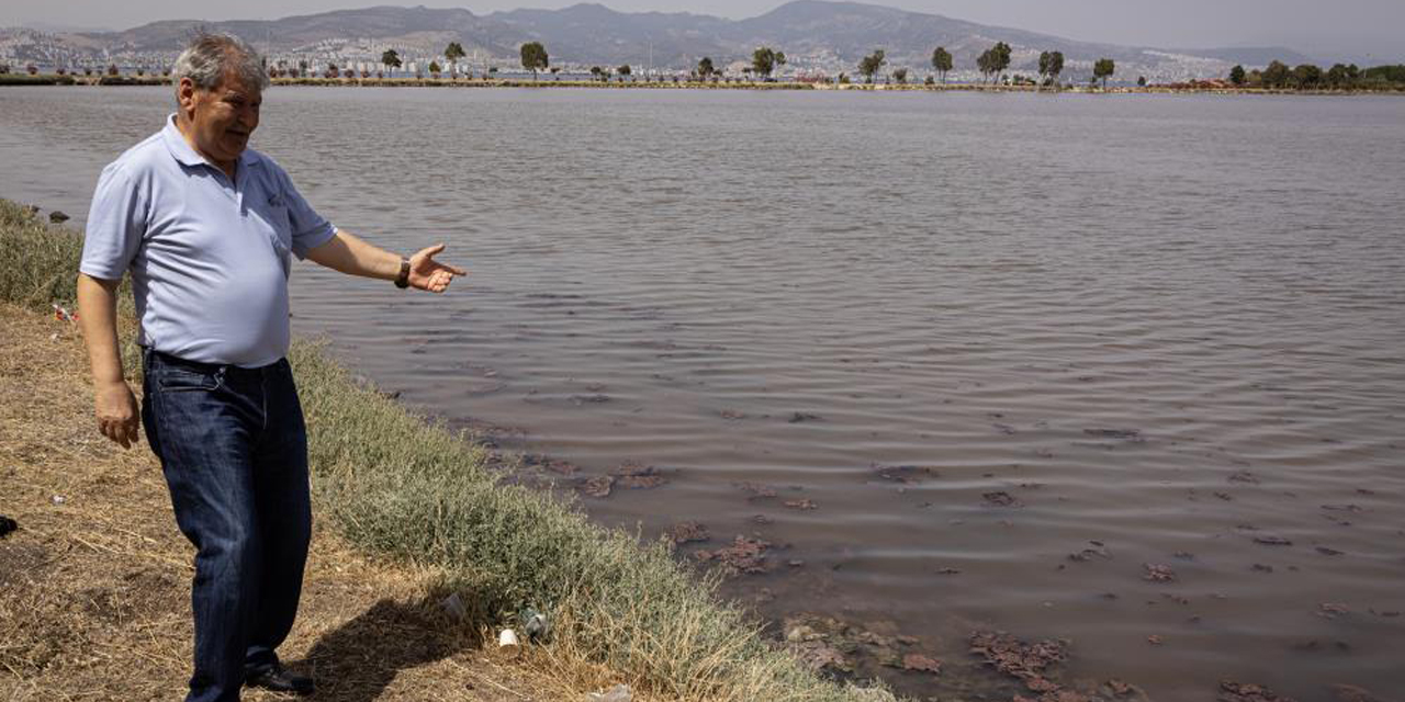 İzmir’in iki ilçesinde denizin rengi değişti, kötü koku yayıldı