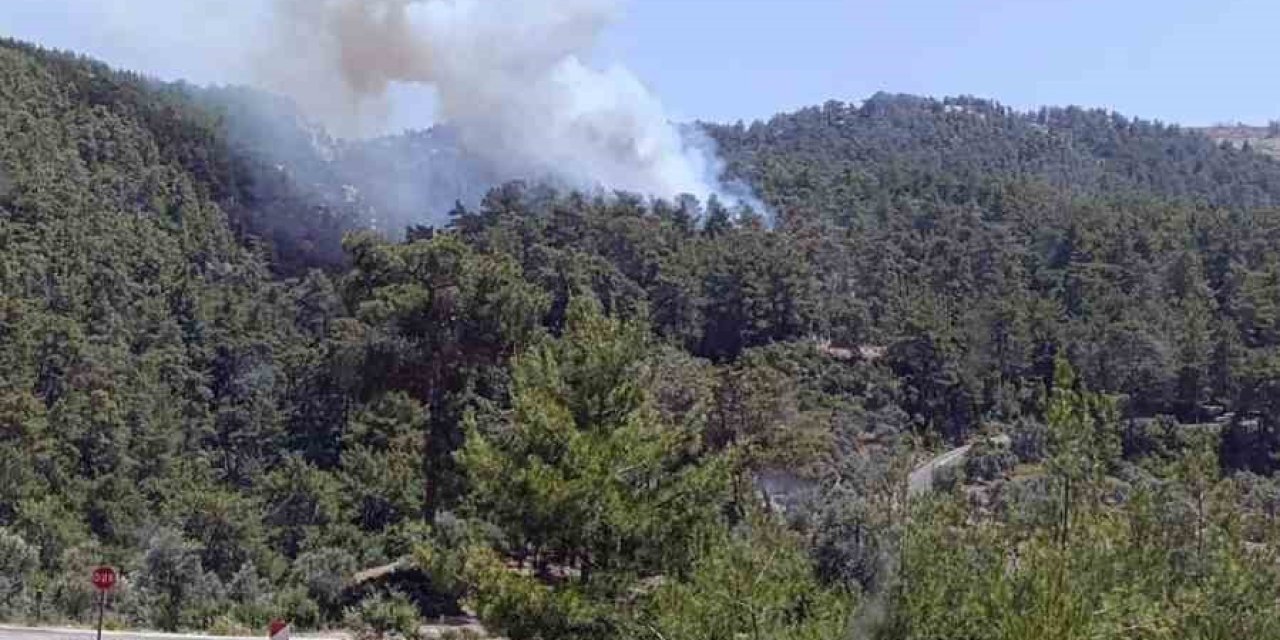 Milas’ta orman yangını