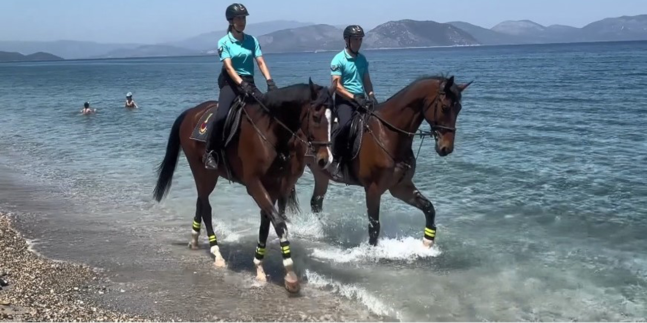 Atlı jandarma timi göreve başladı