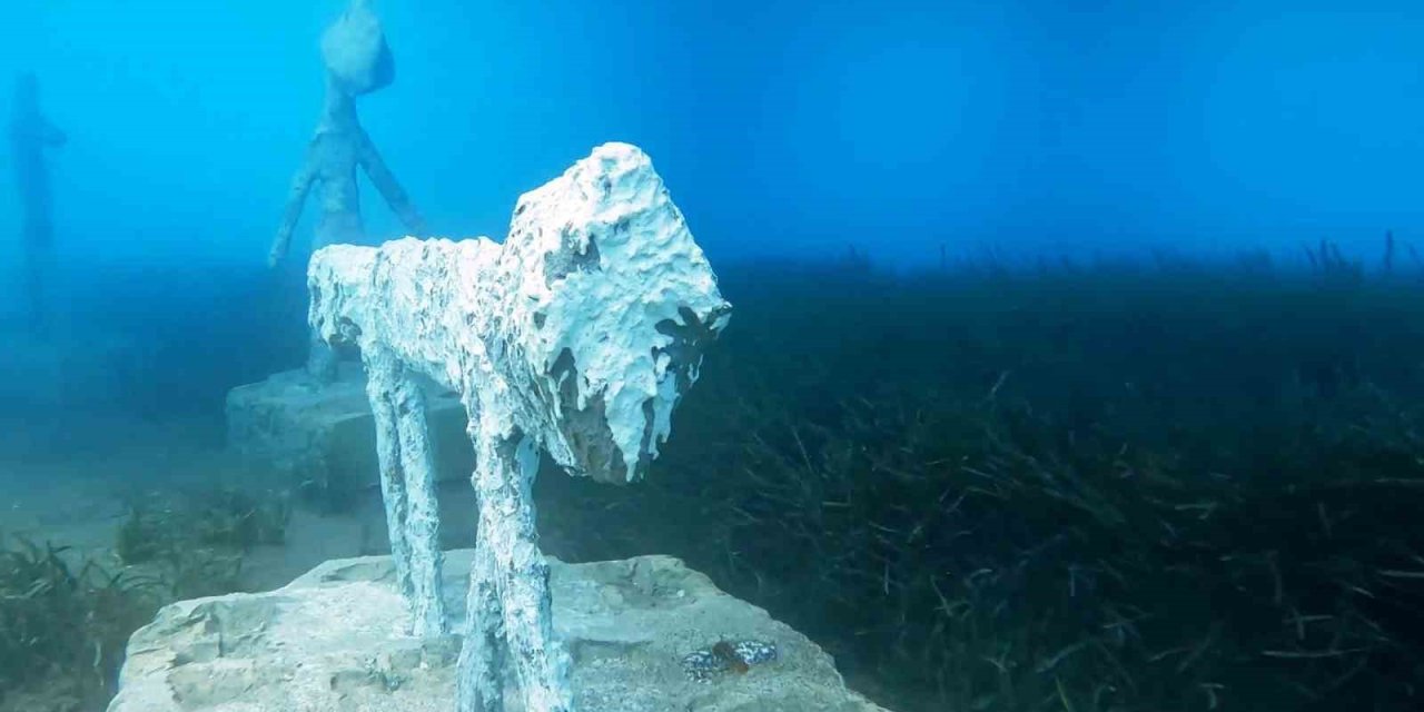 Deniz dibindeki sergiyi görenler gözlerine inanamadı