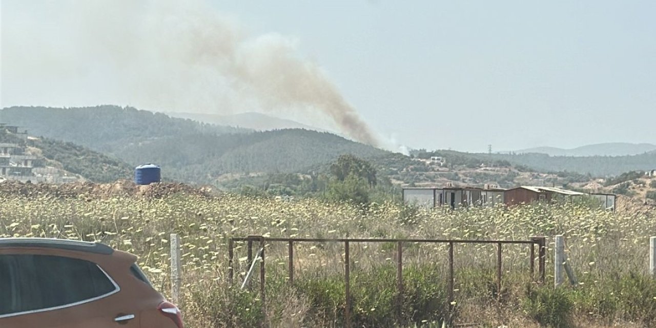 Milas’ta orman yangını