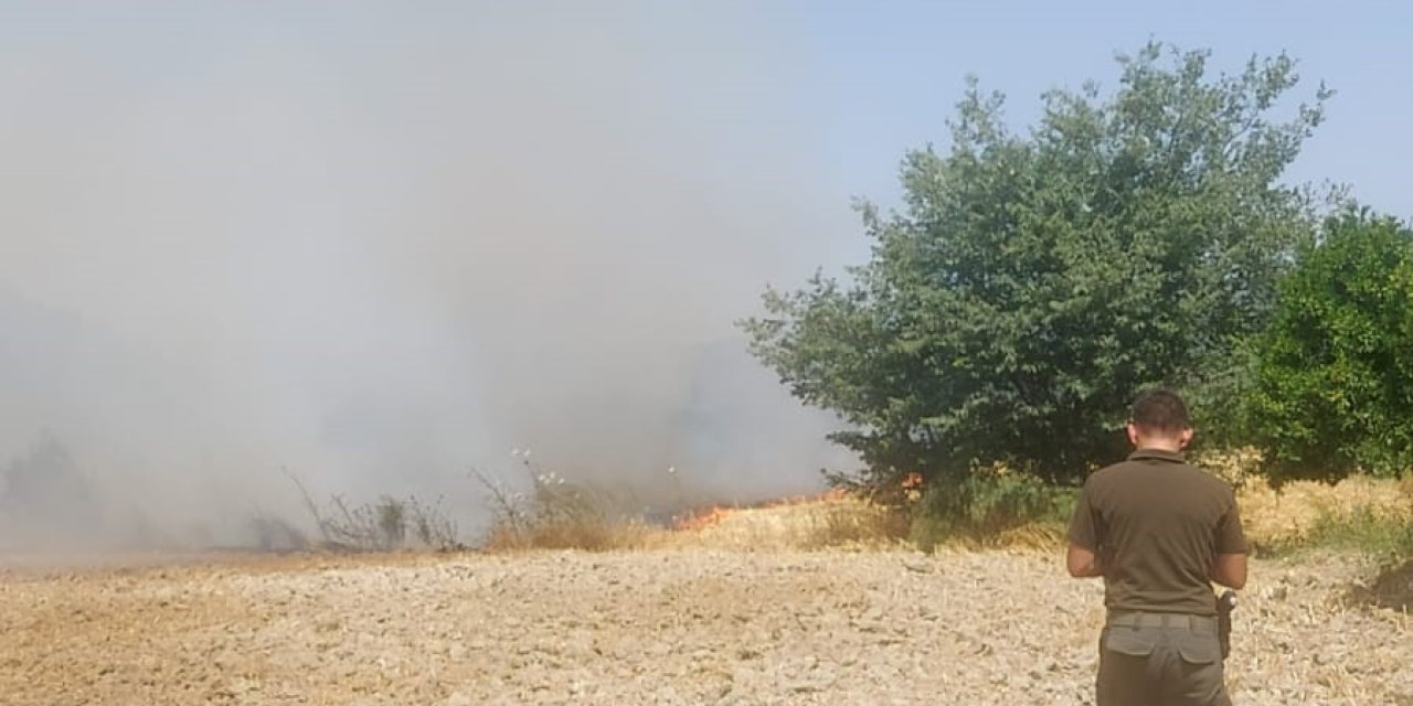 Ula’da ziraat arazisinde yangın