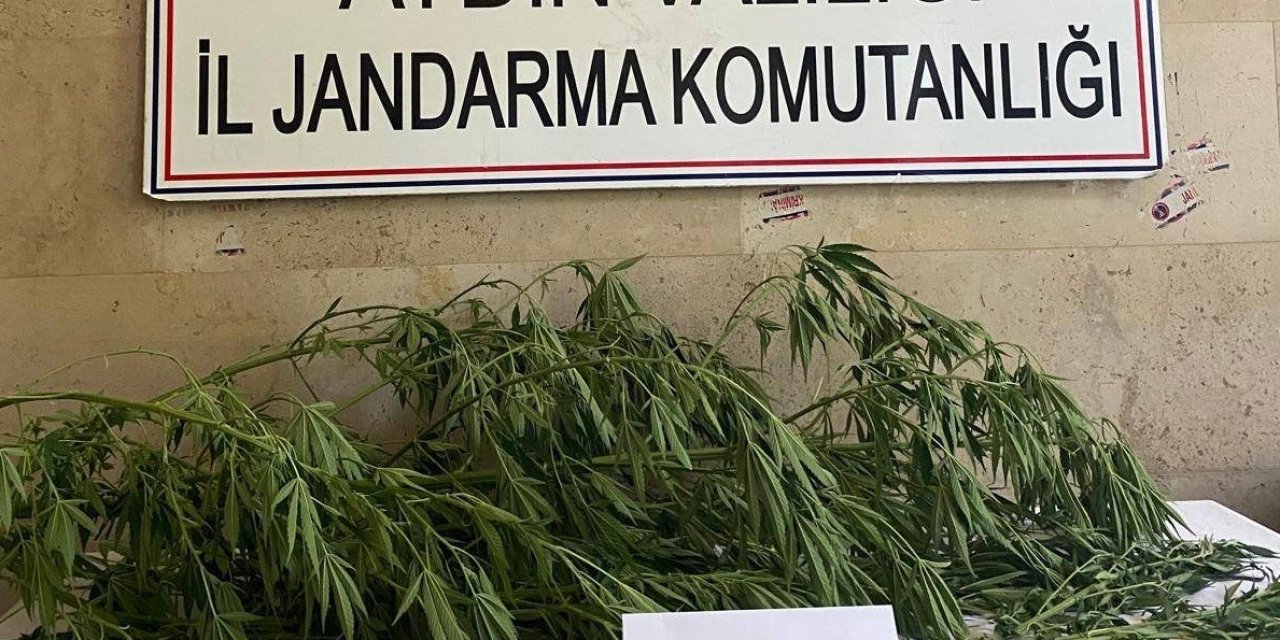Aydın’da jandarma ekipleri uyuşturucuya geçit vermiyor