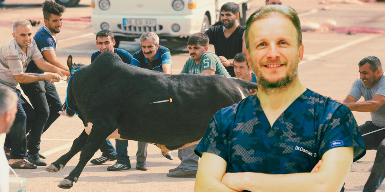 Acemi kasaplar dikkat, bayramınız kanlı bayrama dönüşmesin!