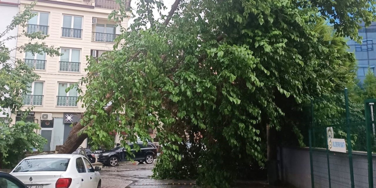 Denizli ve çevre illerde kuvveti fırtına uyarısı yapıldı