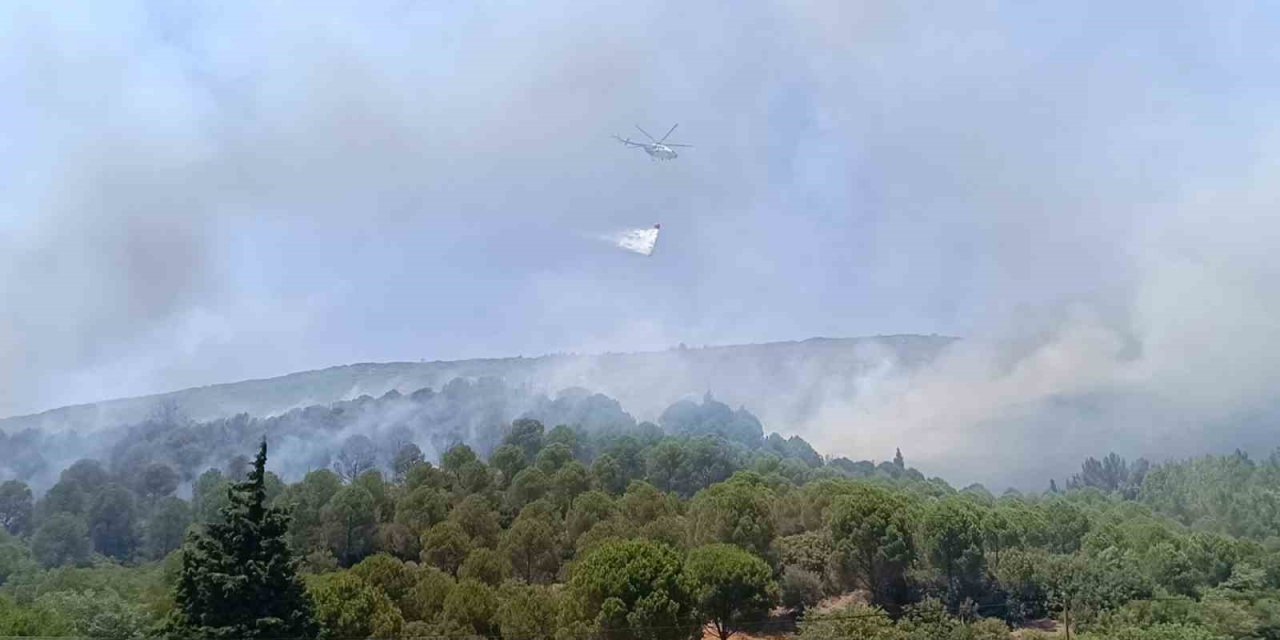 Bornova’daki orman yangını kontrol altına alındı