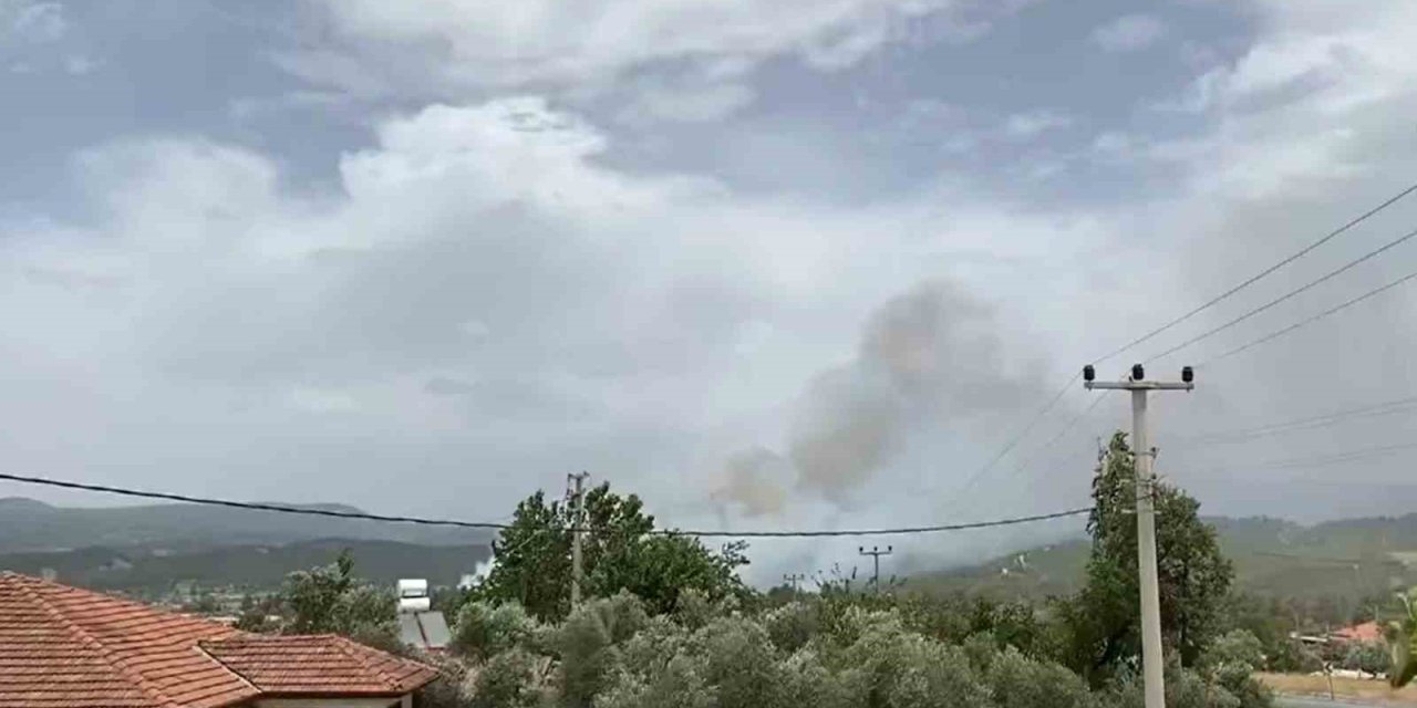 Muğla’da orman yangını başladı