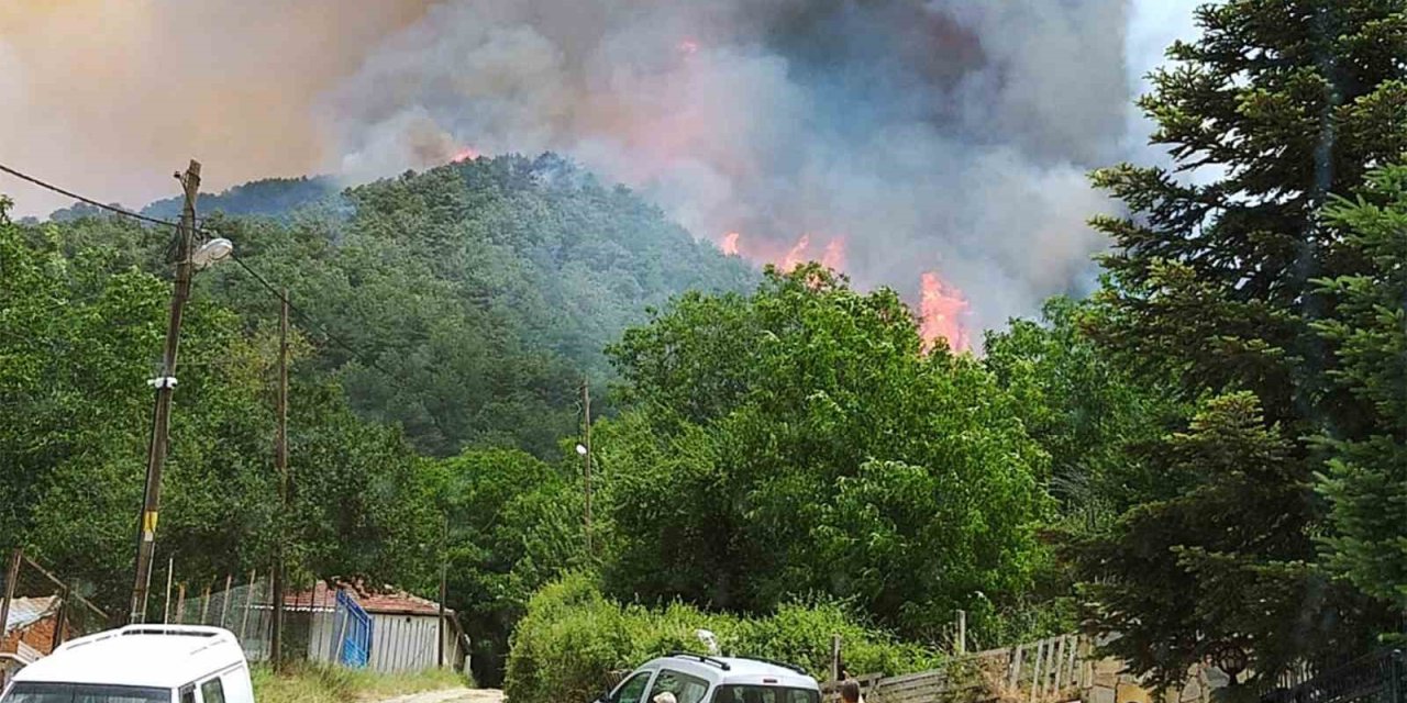 Milas’ta başlayan orman yangını büyüyor