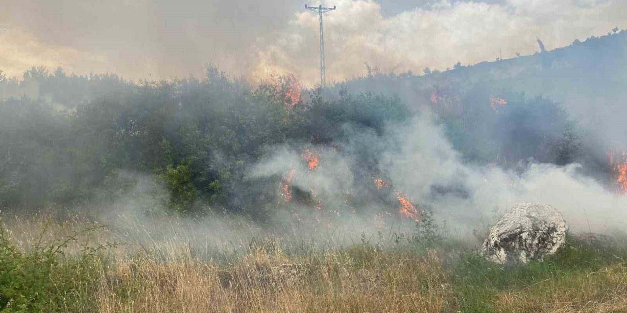Denizli’de 1 günde 10 orman yangını çıktı