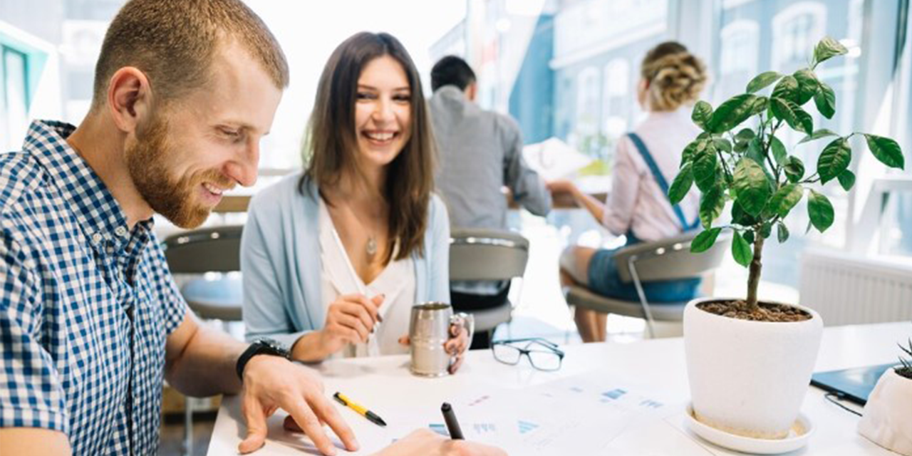 Pamedia ile profesyonel kariyer yönetimi için menajerlik hizmeti