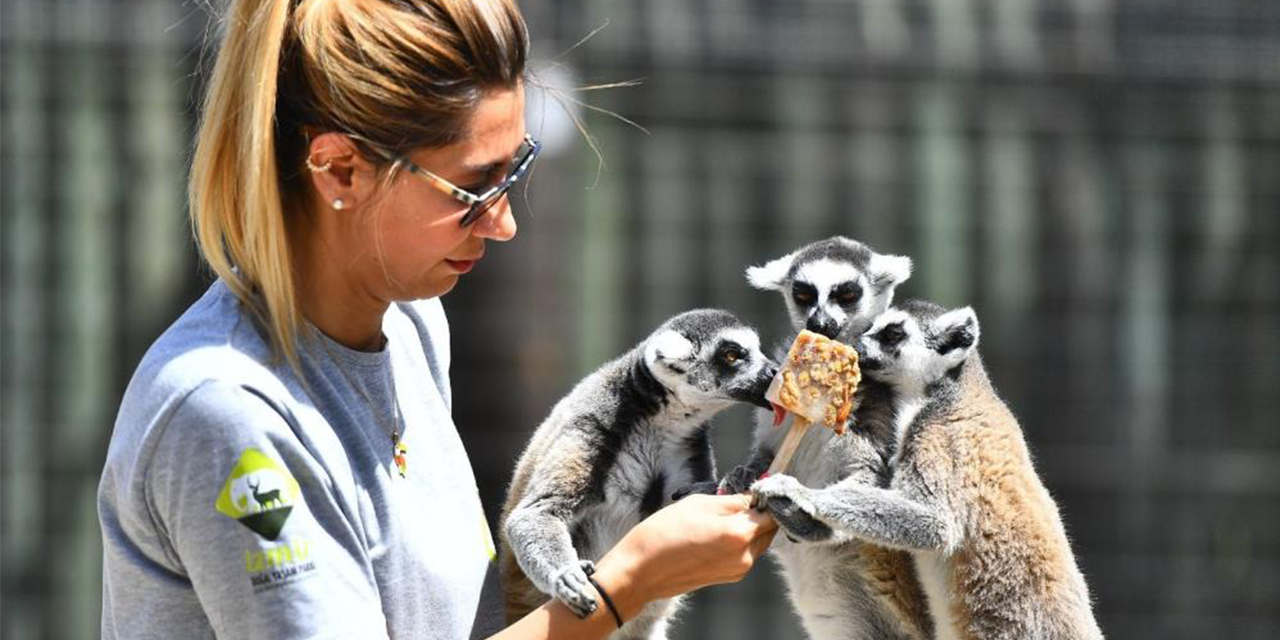 Doğal Yaşam Parkı sakinlerini serinleten menü