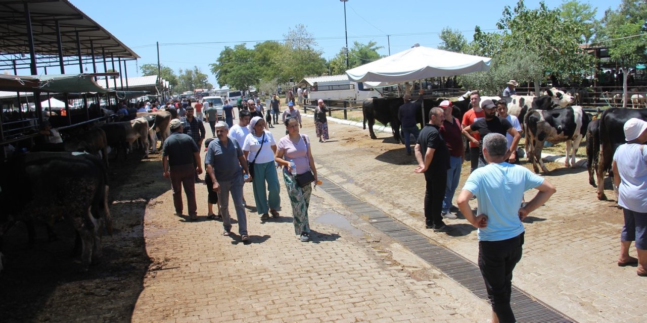 Aydın’daki hayvan pazarında bu yıl durgunluk yaşanıyor