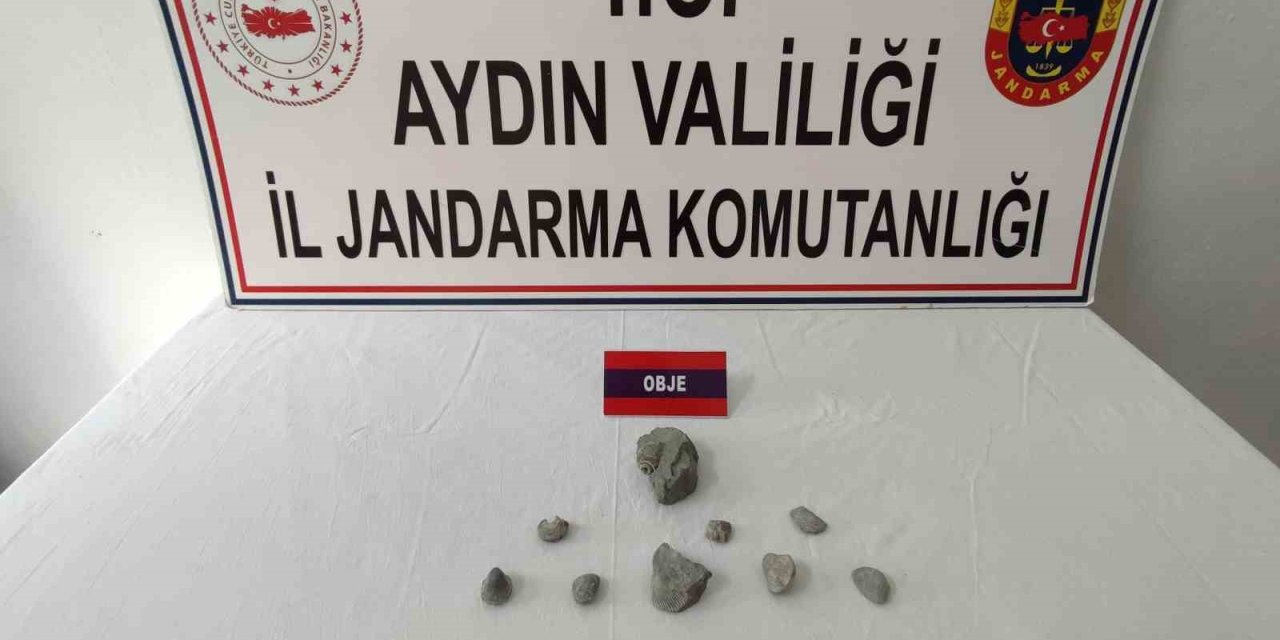 400 bin yıllık fosili satmaya çalışırken jandarmaya takıldı