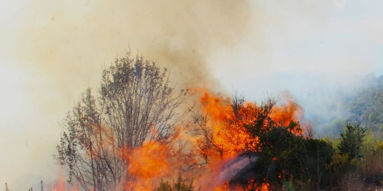 EKODOSD Başkanı Sürücü: “Dikkat, yüreğimiz yanmasın”