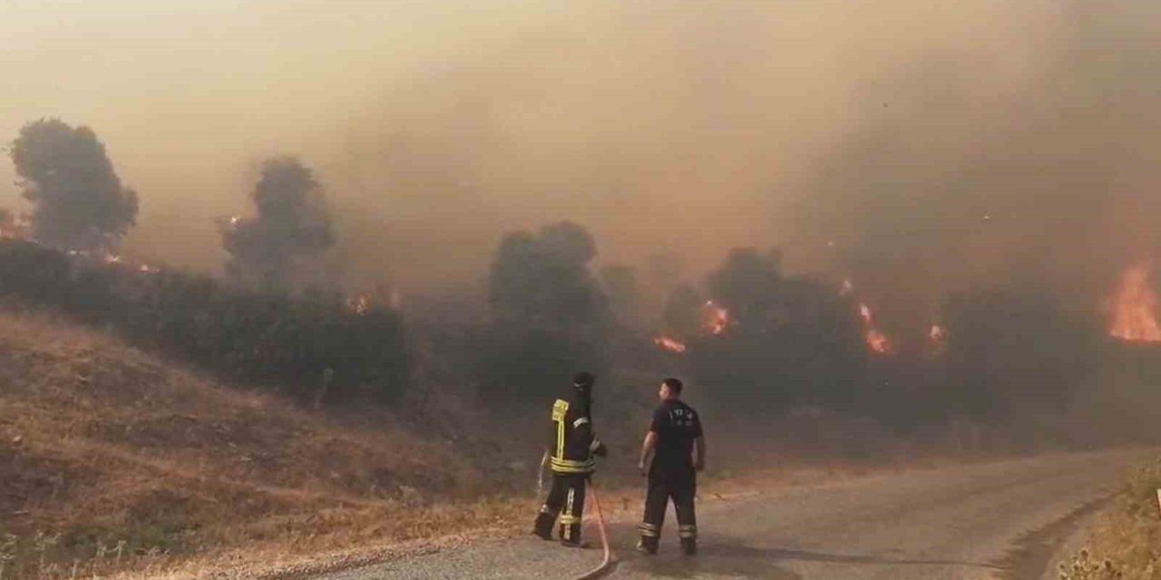 Aydın’da orman yangını