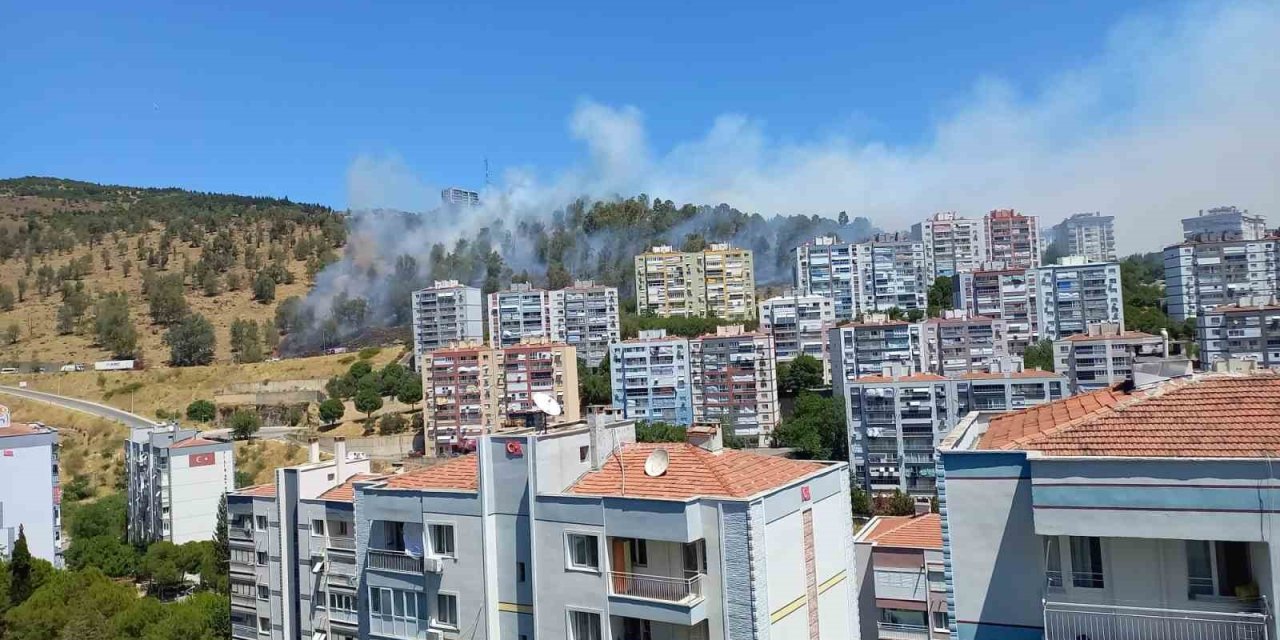Aliağa’da orman yangını