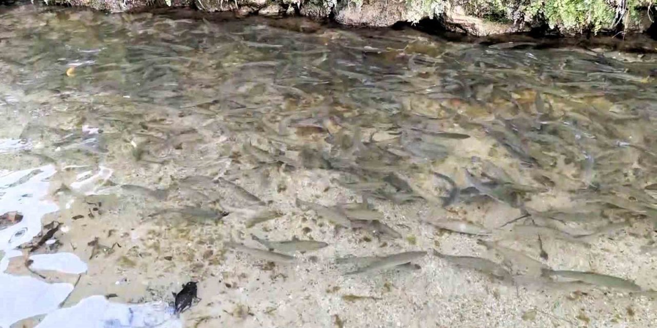 Türkiye’nin 23. doğa harikası Güney Şelalesi ziyaretçilerini bekliyor