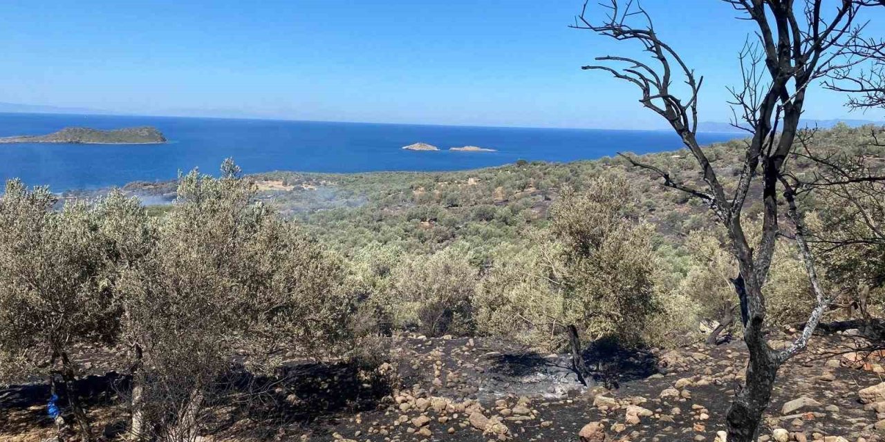 İzmir’deki orman yangını kontrol altında