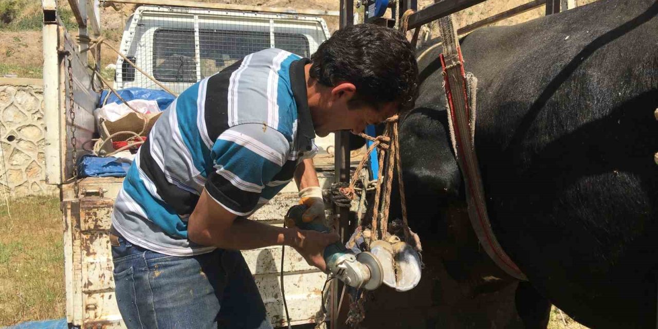 Mahalle mahalle gezip tırnak bakımı yapıyor