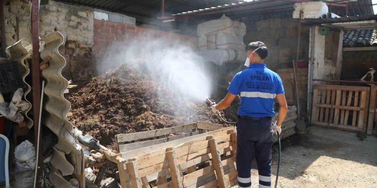 Efeler’de ilaçlama çalışmaları hızla sürüyor