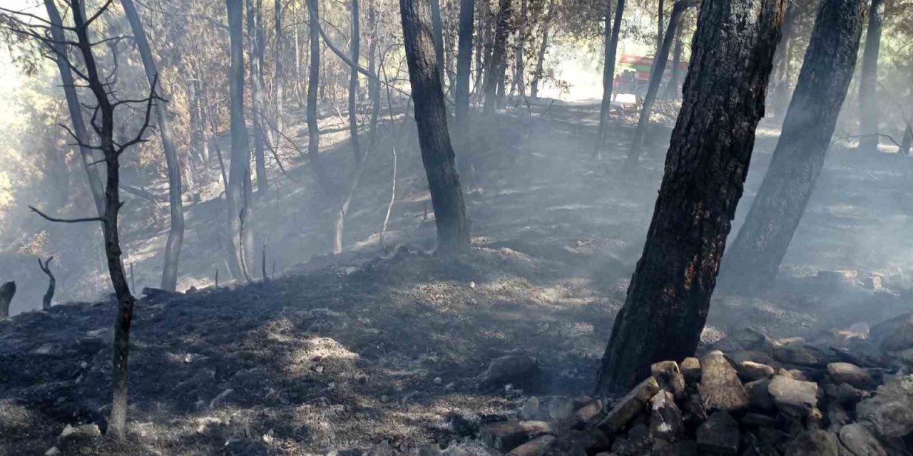 Denizli’de ormanlık alanda çıkan yangın büyümeden söndürüldü