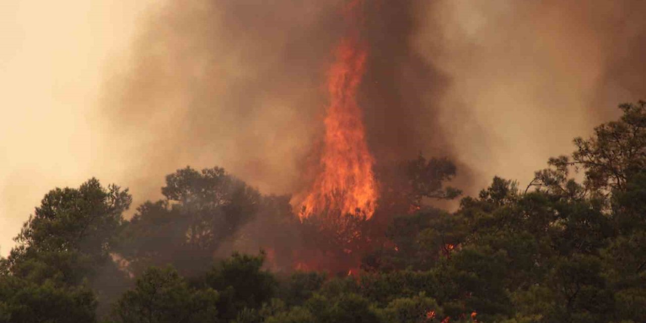 Datça’da orman yangınlarına karşı ek önlemler alındı