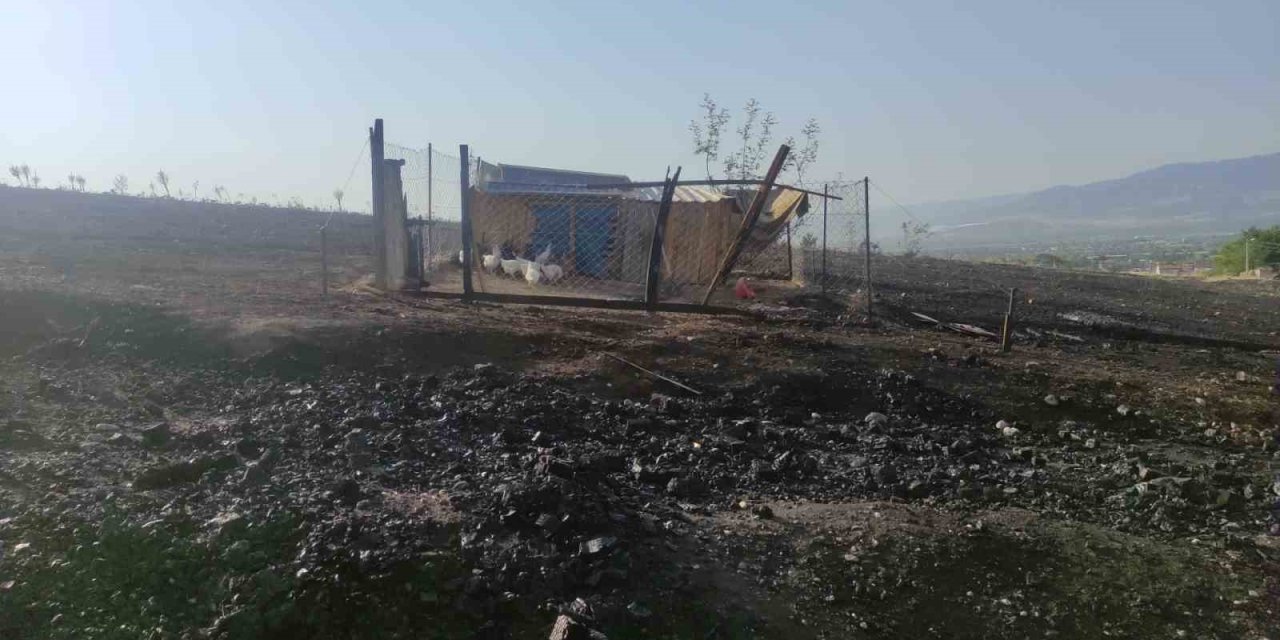 Alevlerin sardığı kümesteki hayvanları kurtarmak isterken yaralandı