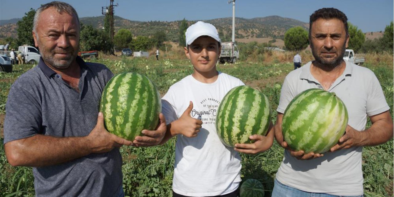 Adana’nın sıcağı Aydın’a yaradı