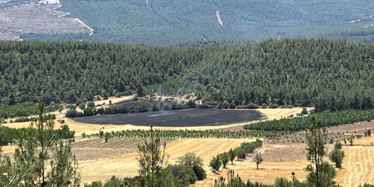 Denizli’de ormana yakın bölgede çıkan yangın söndürüldü